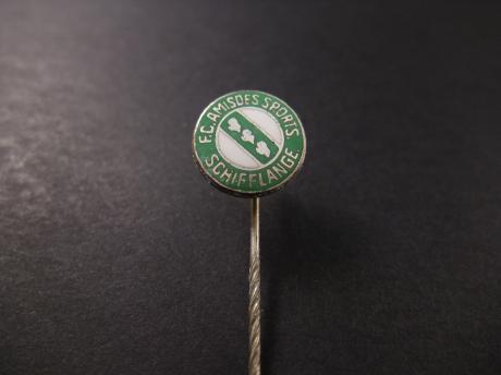 FC Schifflange Luxemburgse voetbalclub